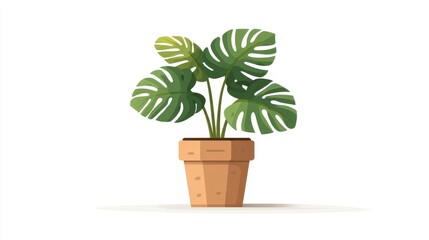 Fototapeta premium A lively representation of a Monstera plant with oversized, cleft leaves, positioned in a handwoven basket