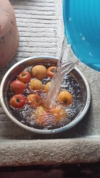 Mexican tejocote fruit, used to make preserves and punch