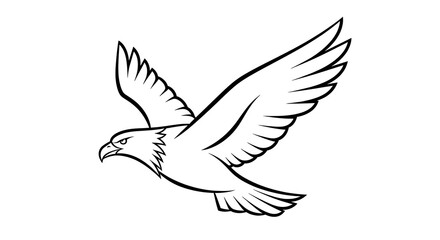 Obraz premium Majestic Eagle Soaring Graphic Outline Illustration Bird Prey Freedom Strength Power Symbol Wild Wildlife Conservation