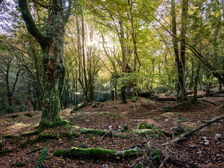 Autunno Tardivo nel Parco Regionale Naturale dei Monti Lucretili - Monte Gennaro