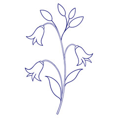 white dove on a blue background