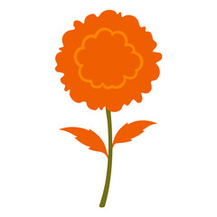 marigold flower silhouette on white background
