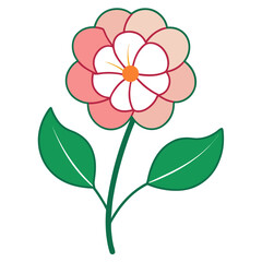 primrose flower on white background