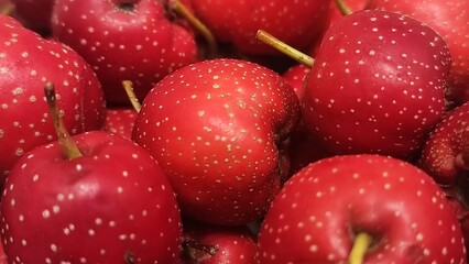 Close up of Red Hawthorn Berries covered in full screen, macro of fresh fruit