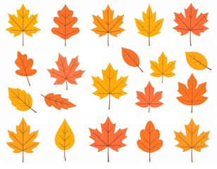 Obraz premium Collection of colorful autumn leaves in various shapes and sizes, isolated on white.