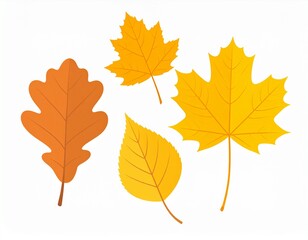 Obraz premium Four autumn leaves in various shades of yellow and orange, depicting different tree species like maple, oak, and birch on a white background.