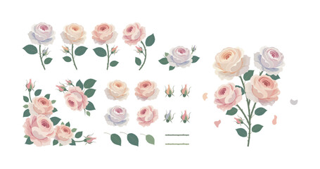 Pastel Rose Vector Set &ndash; Elegant Botanical Floral Elements, Bouquets, Stems, Leaves and Blossoms Collection