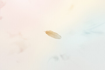 Minimal pastel feather floating abstract background, dreamy soft gradient sky, light boho digital art design