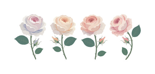 Pastel Rose Vector Set &ndash; Elegant Botanical Floral Elements, Bouquets, Stems, Leaves and Blossoms Collection