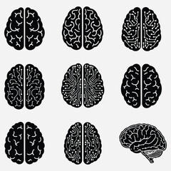 Collection of diverse brain illustrations featuring both anatomical structures and intricate circuit board patterns, symbolizing intelligence, technology, and complex thought processes