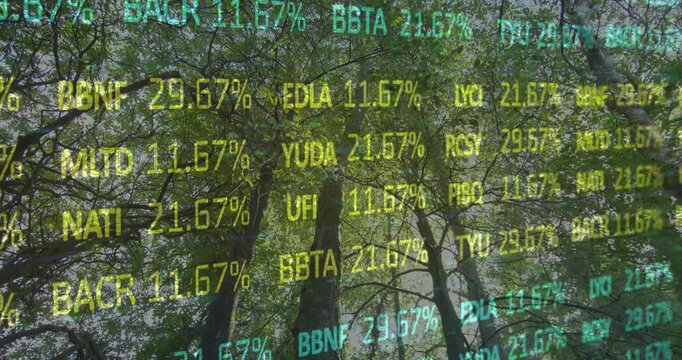 Translucent codes and percentages appearing over forest, rising and falling showing data change