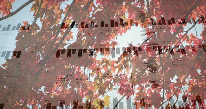 Autumn leaves starting bar chart fading, bars multiplying, line graph pulsing to show data trends