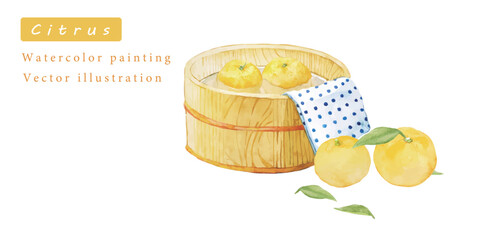 ゆずとお湯の水彩ベクターイラスト