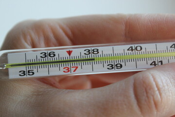 Close-up of a classic glass medical thermometer held in a hand, showing body temperature near 38&deg;C. Health care and fever check concept, illustrating measuring body temperature at home during illness 