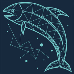 Geometric fish illustration with constellation and starry background