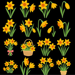 illustration of daffodil flower