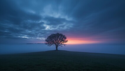 A solitary tree standing on misty hill during peaceful colorful sunrise