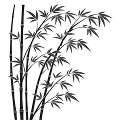 Obraz premium bamboo leaves isolated on white