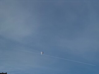 A lone bird flying across a blue sky near the moon, with a thin airplane contrail cutting through the scene. Minimalist composition symbolizing freedom and calm.