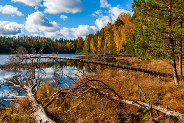 Serene Autumn Landscape by a Forest Lake
