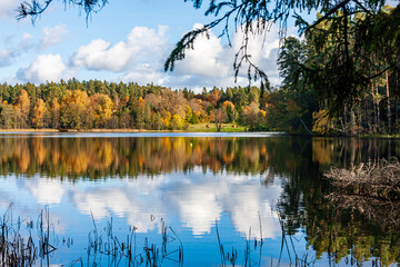 Serene Autumn Landscape by a Forest Lake