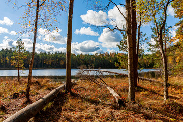 Serene Autumn Landscape by a Forest Lake