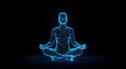 x ray of human skull