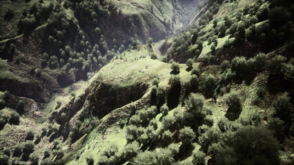 Vast rolling hills draped in lush greenery create a tranquil landscape. Sunlight bathes the scene, casting gentle shadows over the meandering valleys, inviting exploration and wonder.