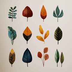 Different shapes of colorful leaves with white background.