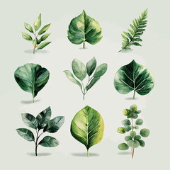Green leaves collection setting in pattern with white background.