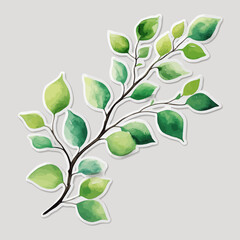 
Tree branch with green leaves sticker on white background.