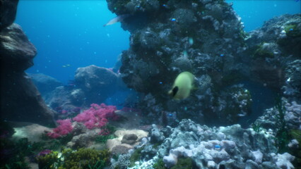 Beneath the surface of a clear blue ocean, diverse coral formations and vibrant marine life create a stunning underwater paradise filled with swaying plants and colorful fish.