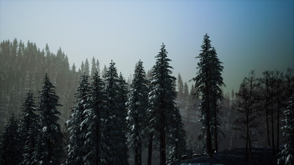 Lush green trees are draped in fresh snow, creating a peaceful winter scene. The sky transitions from light to dark, adding a magical touch to the tranquil atmosphere.