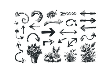 Collection of Hand Drawn Sketch Arrows and Floral Elements