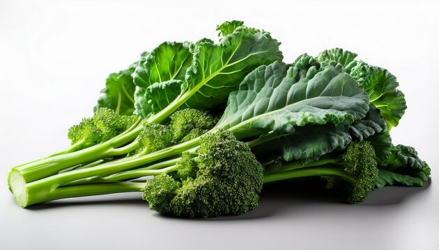 Broccoli Rabe Cime Di Rapa Brassica Rapa