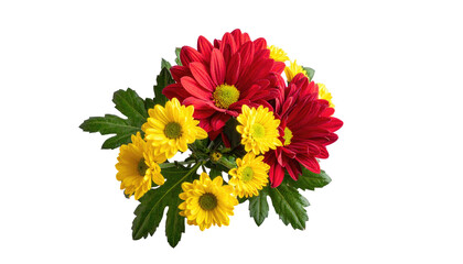 Vibrant red and yellow daisy bouquet, centered on black background with green leaves interweaving flowers