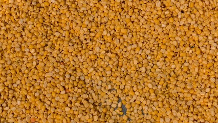 Chana Dal (Split Chickpeas) Texture Background, Top View