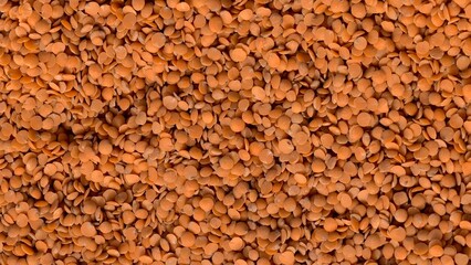 Red Lentils (Masoor Dal) Food Texture Background