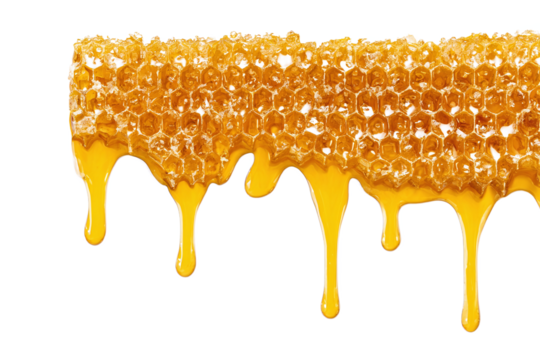 Honeycomb dripping with golden honey