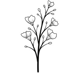 Flower black line art.