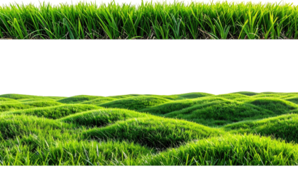 Patchwork-like scene showing close-up grass and a sloping, grass-covered terrain in bright, diffused sunlight