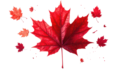 Vibrant red maple leaf with smaller scattered leaves on a black background, digital art style