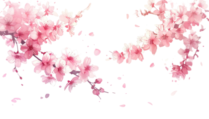 Delicate pink cherry blossoms on branches with falling petals against a black background, conveying a sense of spring