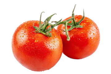 Two fresh tomatoes with water droplets