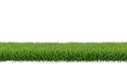 Fototapeta premium Realistic green grass turf border strip isolated, ideal for spring or summer design projects. isolated PNG with Transparent Background