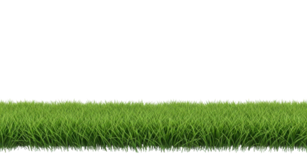 Realistic green grass turf border strip isolated, ideal for spring or summer design projects. isolated PNG with Transparent Background