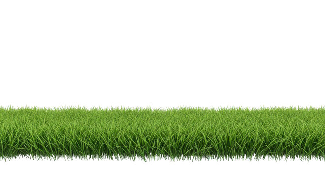 Realistic green grass turf border strip isolated, ideal for spring or summer design projects. isolated PNG with Transparent Background