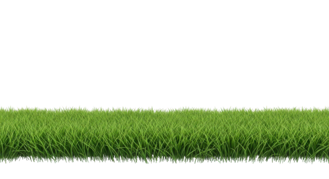 Realistic green grass turf border strip isolated, ideal for spring or summer design projects. isolated PNG with Transparent Background