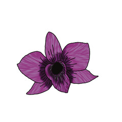 Single element drawing dark purple orchid