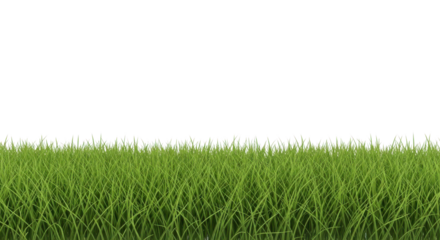 Fresh green lawn grass border isolated PNG with Transparent Background